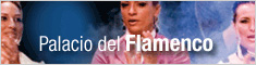 Palacio del Flamenco