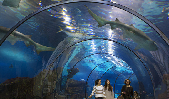 L'Aquàrium de Barcelona