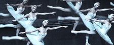 The Moscow Ballet The Moscow Ballet